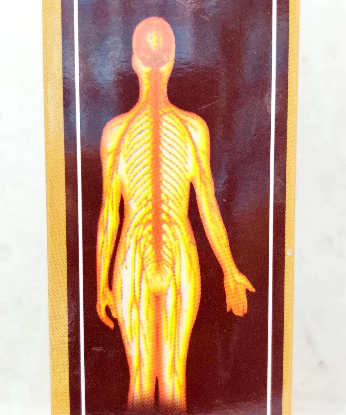 Silvester Asan Varma Thailam -  Silvester Asan - Medizzo.com