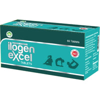 Pankajakasthuri Ilogen Excel 60Tablets - Pankajakasthuri - Medizzo.com