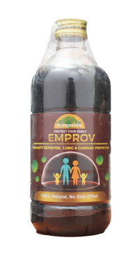 Emprov syrup 450ml -  Ayurpraba - Medizzo.com