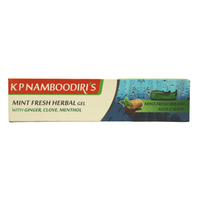 KP Namboodiri's Mint Fresh Herbal Gel Toothpaste 150gm -  KP Namboodiri - Medizzo.com