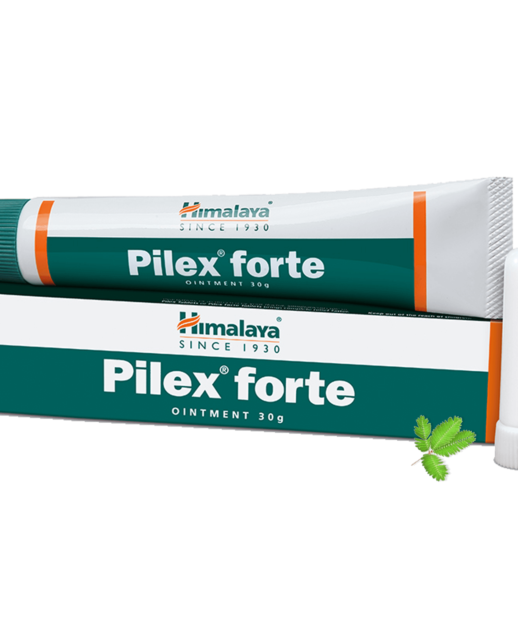 Himalaya Pilex forte Ointment 30g -  Himalaya - Medizzo.com